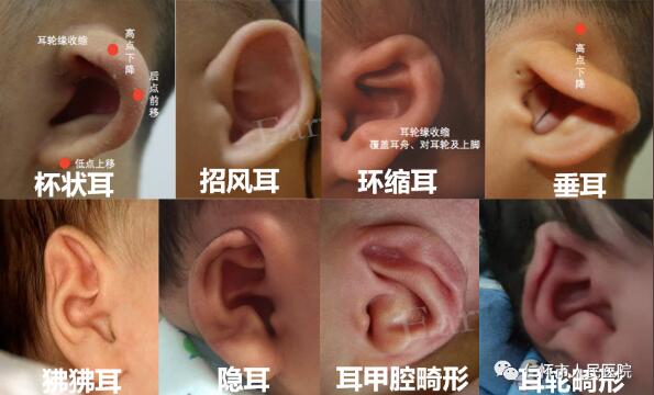 QQ截图20220611143639.jpg