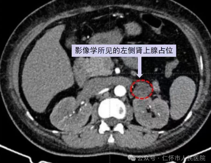 QQ截图20240627165803.png