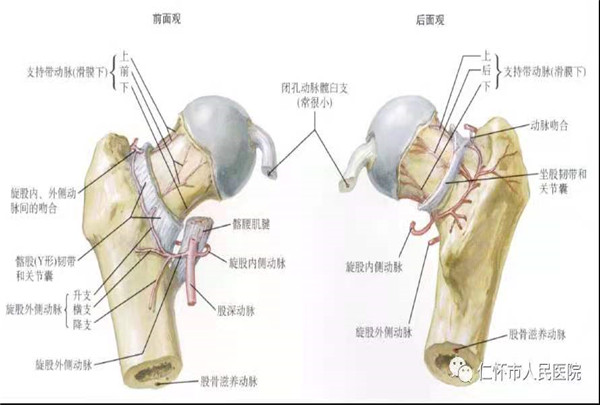 微信图片_20210604171233.jpg