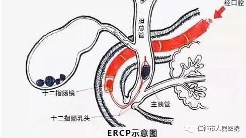 QQ截图20230306184734.jpg